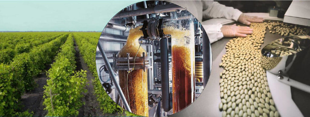 Kundenreferenz Schwabe